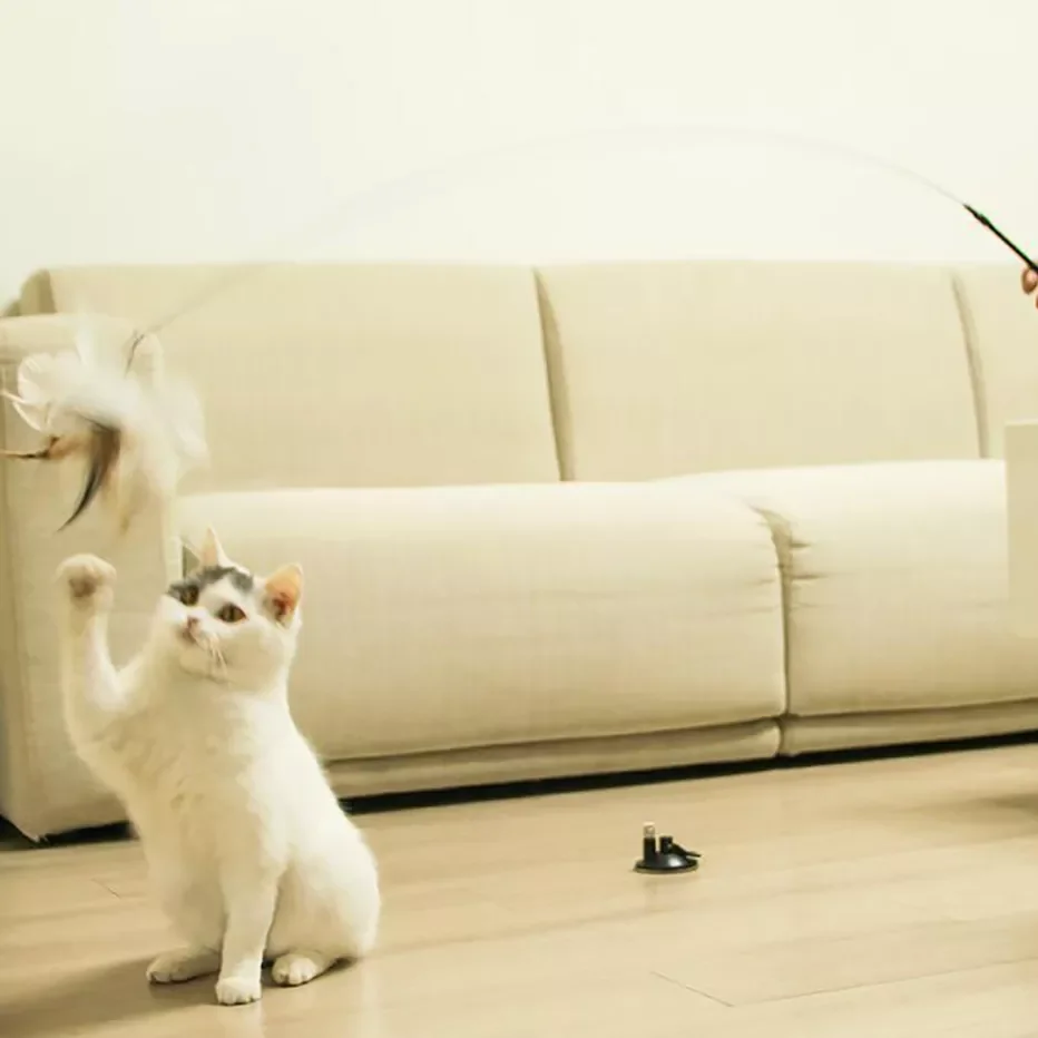 V-remover-MA
V-remover-MA