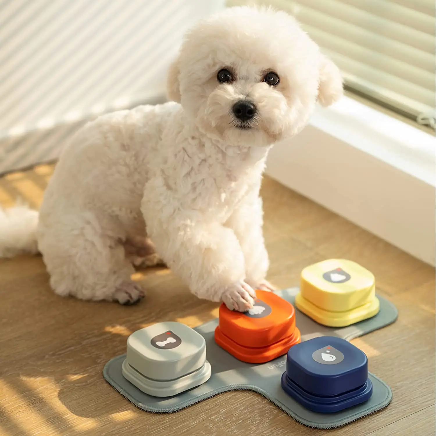 Voice Recording Button Pet Toys Talking Pet Communication Vocal Training Interactive Toy Bell Ringer With Pad Intelligence Toy
Voice Recording Button Pet Toys Talking Pet Communication Vocal Training Interactive Toy Bell Ringer With Pad Intelligence Toy
