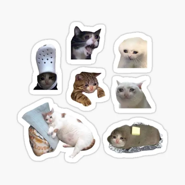 Crying Cat Meme Pack 5PCS Stickers for Car Cute Laptop Home Print Living Room Decorations Window Decor Kid Cartoon
Crying Cat Meme Pack 5PCS Stickers for Car Cute Laptop Home Print Living Room Decorations Window Decor Kid Cartoon