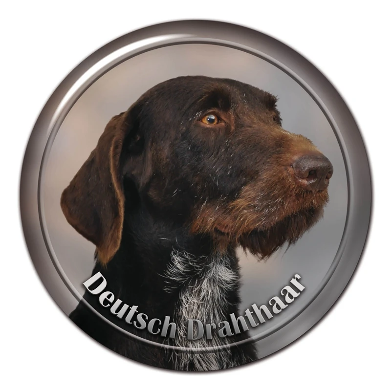 Реалистичная модная самоклеящаяся наклейка в стиле ретро, наклейка на бампер, заднее стекло, ноутбук, ПВХ
Реалистичная модная самоклеящаяся наклейка в стиле ретро, наклейка на бампер, заднее стекло, ноутбук, ПВХ