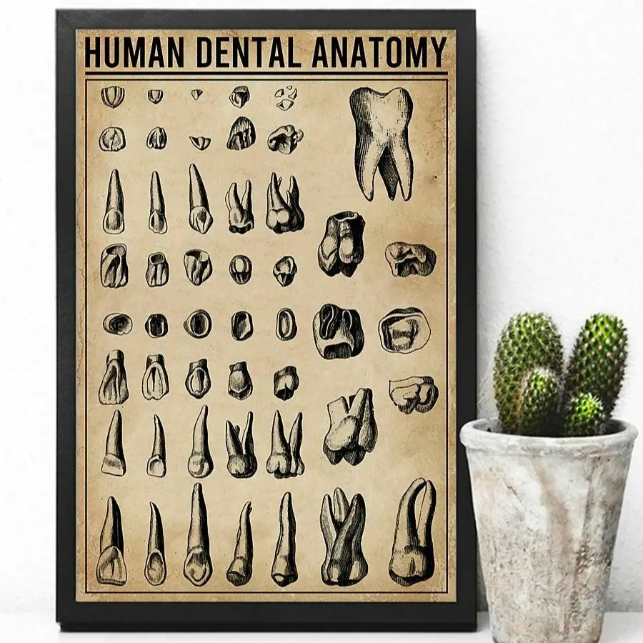Human Dental Anatomy Dentistry Dentist Mural Modern Wall Art Pictures Posters Canvas Paintings Room Decorations Home Decor
Human Dental Anatomy Dentistry Dentist Mural Modern Wall Art Pictures Posters Canvas Paintings Room Decorations Home Decor