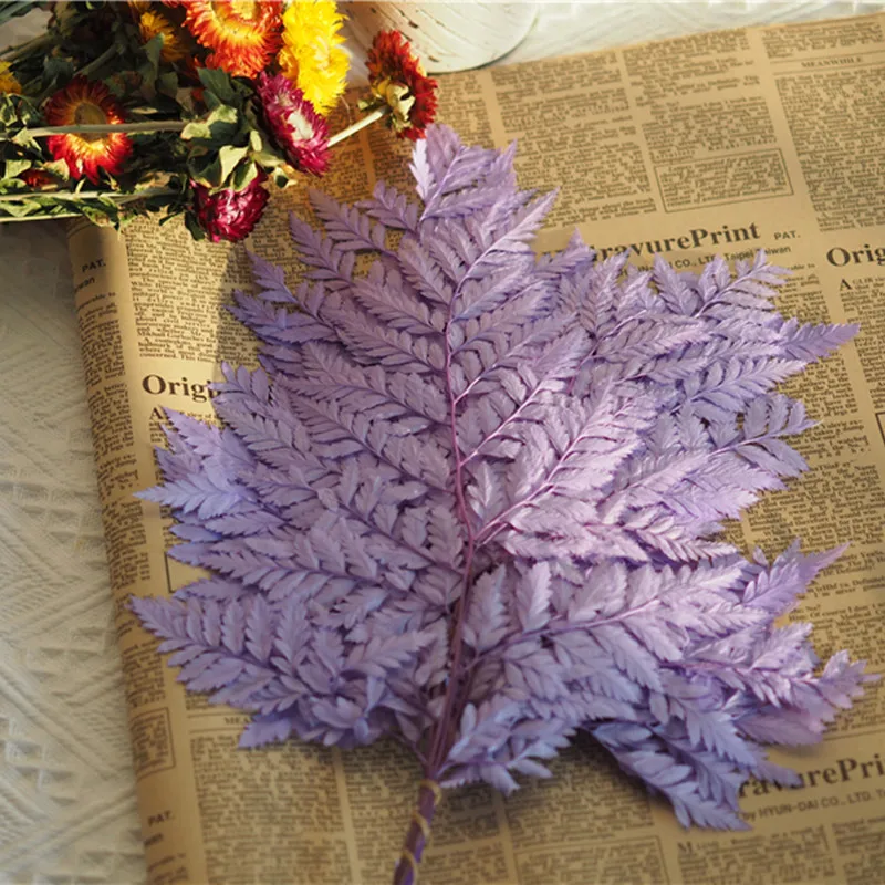 10Pcs Dried Flower Leaf Preserved Fresh Flower Alpine Sheep Tooth Leaf Flower Artificial Flowers For Christmas Decoration
10Pcs Dried Flower Leaf Preserved Fresh Flower Alpine Sheep Tooth Leaf Flower Artificial Flowers For Christmas Decoration