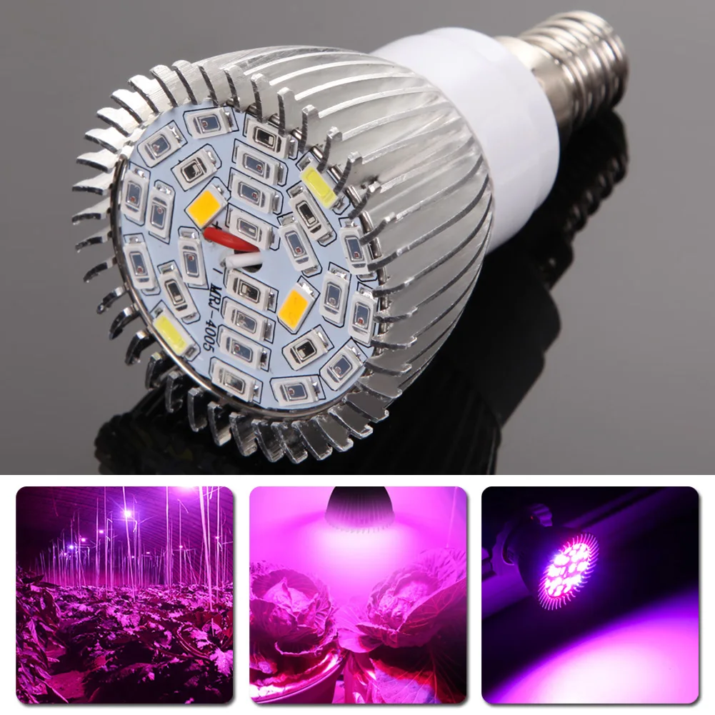 Full Spectrum E14 LED Grow Light Greenhouse Grow Tent Plant Lamp for Flower Plant Hydroponics Vegetable Growing
Full Spectrum E14 LED Grow Light Greenhouse Grow Tent Plant Lamp for Flower Plant Hydroponics Vegetable Growing