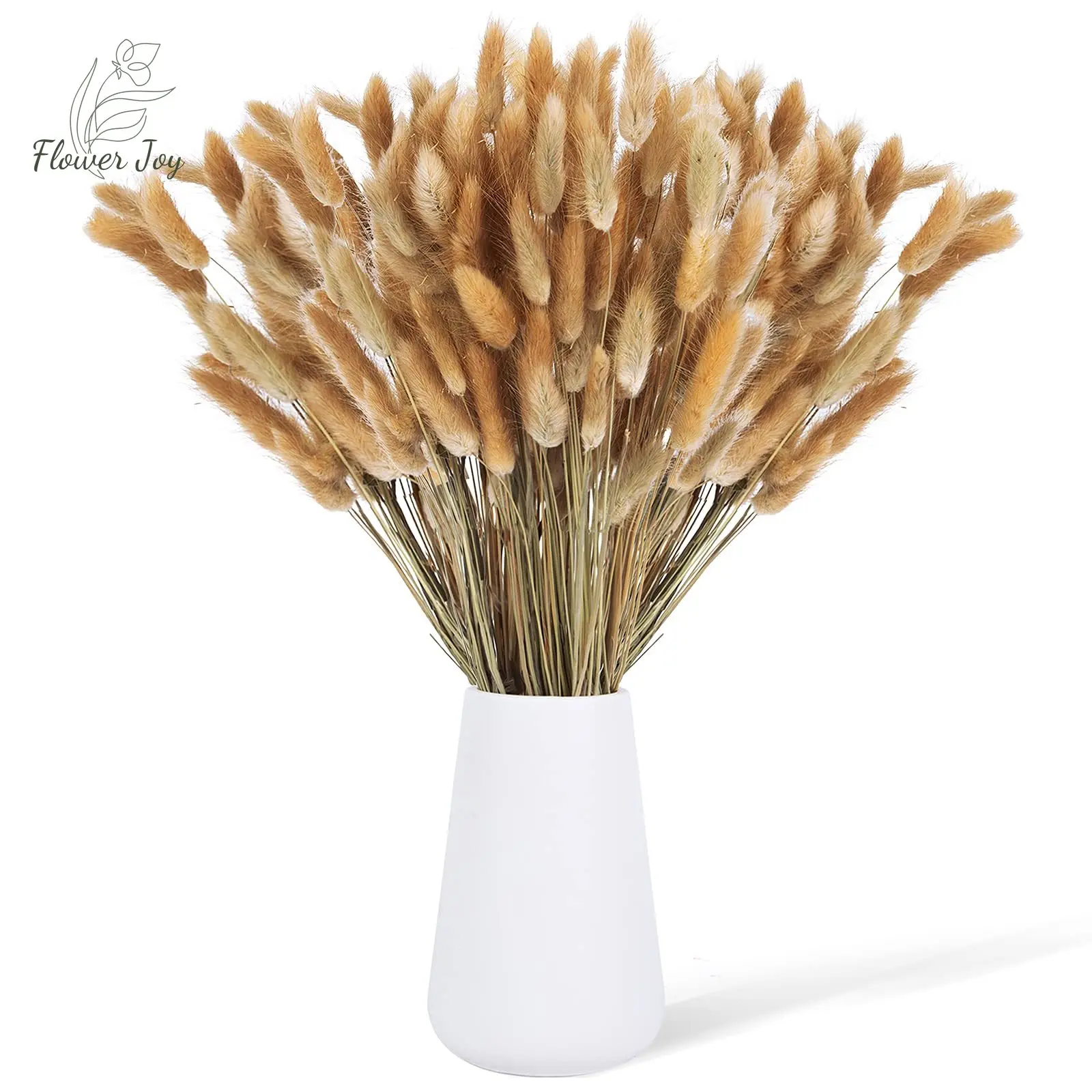 Natural Bunny Tails Grass Bunch Wedding Favors Room Decor Dried Lagurus Boho Home Party Invitations Bridal Bouquet Dried Florals
Natural Bunny Tails Grass Bunch Wedding Favors Room Decor Dried Lagurus Boho Home Party Invitations Bridal Bouquet Dried Florals