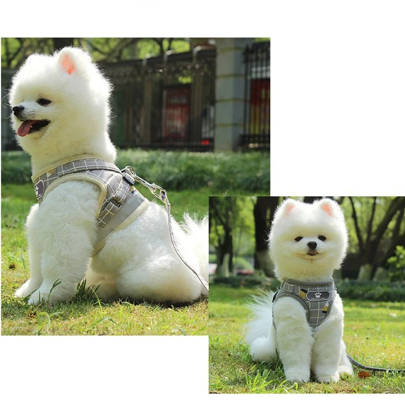 Nylon Mesh Kitten Puppy Reflective Dogs Harness And Leash Set Dogs Vest Harness Leads Pet Clothes For Small Dogs
Nylon Mesh Kitten Puppy Reflective Dogs Harness And Leash Set Dogs Vest Harness Leads Pet Clothes For Small Dogs