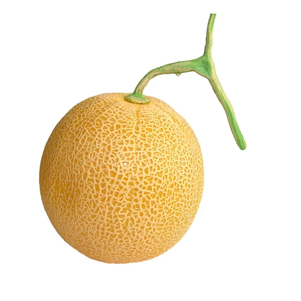 Artificial Cantaloupe Simulation Model Large Plastic Hami Melon Fake Fruit Home Cupboard Supermarket Decoration Props Ornaments
Artificial Cantaloupe Simulation Model Large Plastic Hami Melon Fake Fruit Home Cupboard Supermarket Decoration Props Ornaments