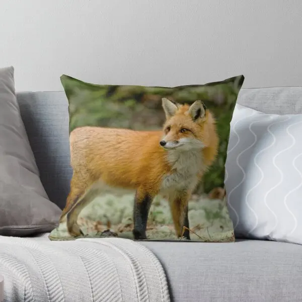 Наволочка для подушки с принтом Red Fox, мягкая модная декоративная подушка для кровати, для отелей и офисов, в комплект не входит
Наволочка для подушки с принтом Red Fox, мягкая модная декоративная подушка для кровати, для отелей и офисов, в комплект не входит