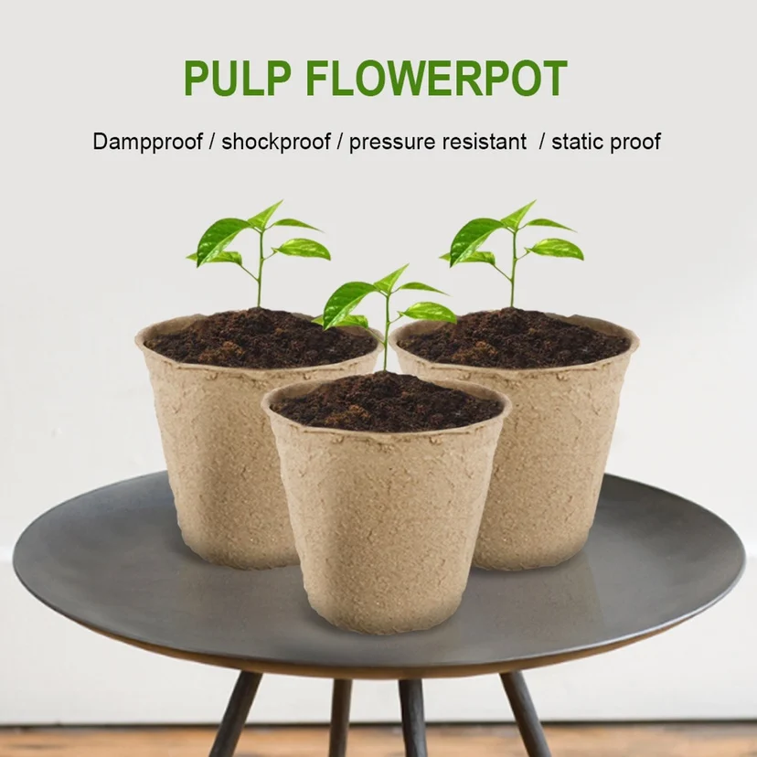 30 Pcs Pulp Nursery Basin Breeding Flower Pot Nutrition Pot Culture Pot Feeding Block Planting Pot Nutrition Cup Seedling Cup
30 Pcs Pulp Nursery Basin Breeding Flower Pot Nutrition Pot Culture Pot Feeding Block Planting Pot Nutrition Cup Seedling Cup
