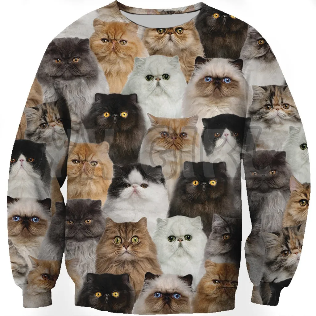 New Funny Dog Sweatshirt You_Will_Have_A_Bunch_Of_Persian_Cats 3d Printed Sweatshirts Men For Women Pullovers Unisex Tops
New Funny Dog Sweatshirt You_Will_Have_A_Bunch_Of_Persian_Cats 3d Printed Sweatshirts Men For Women Pullovers Unisex Tops