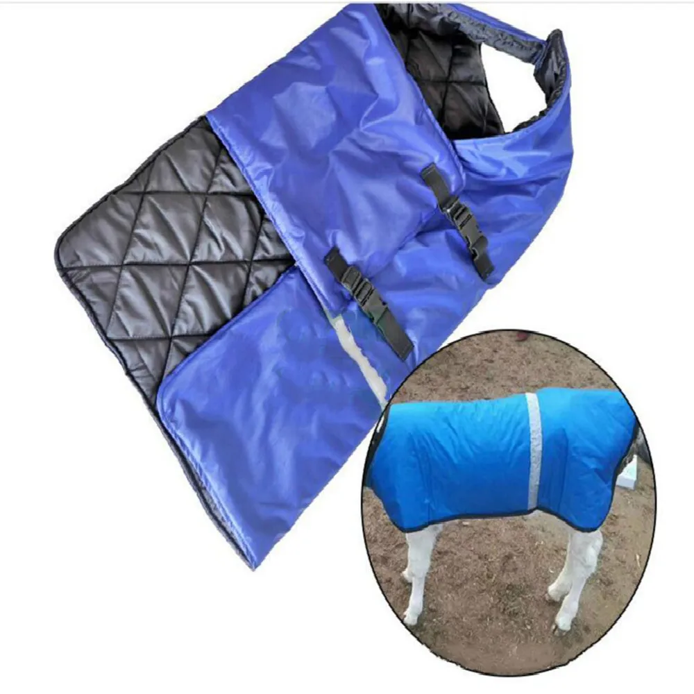 Calf Warm Clothing Vest Padded Calf Warm Clothing Warm Clothing Thickened Calf Clothing Cotton Calf Clothing Windproof Waterproo
Calf Warm Clothing Vest Padded Calf Warm Clothing Warm Clothing Thickened Calf Clothing Cotton Calf Clothing Windproof Waterproo