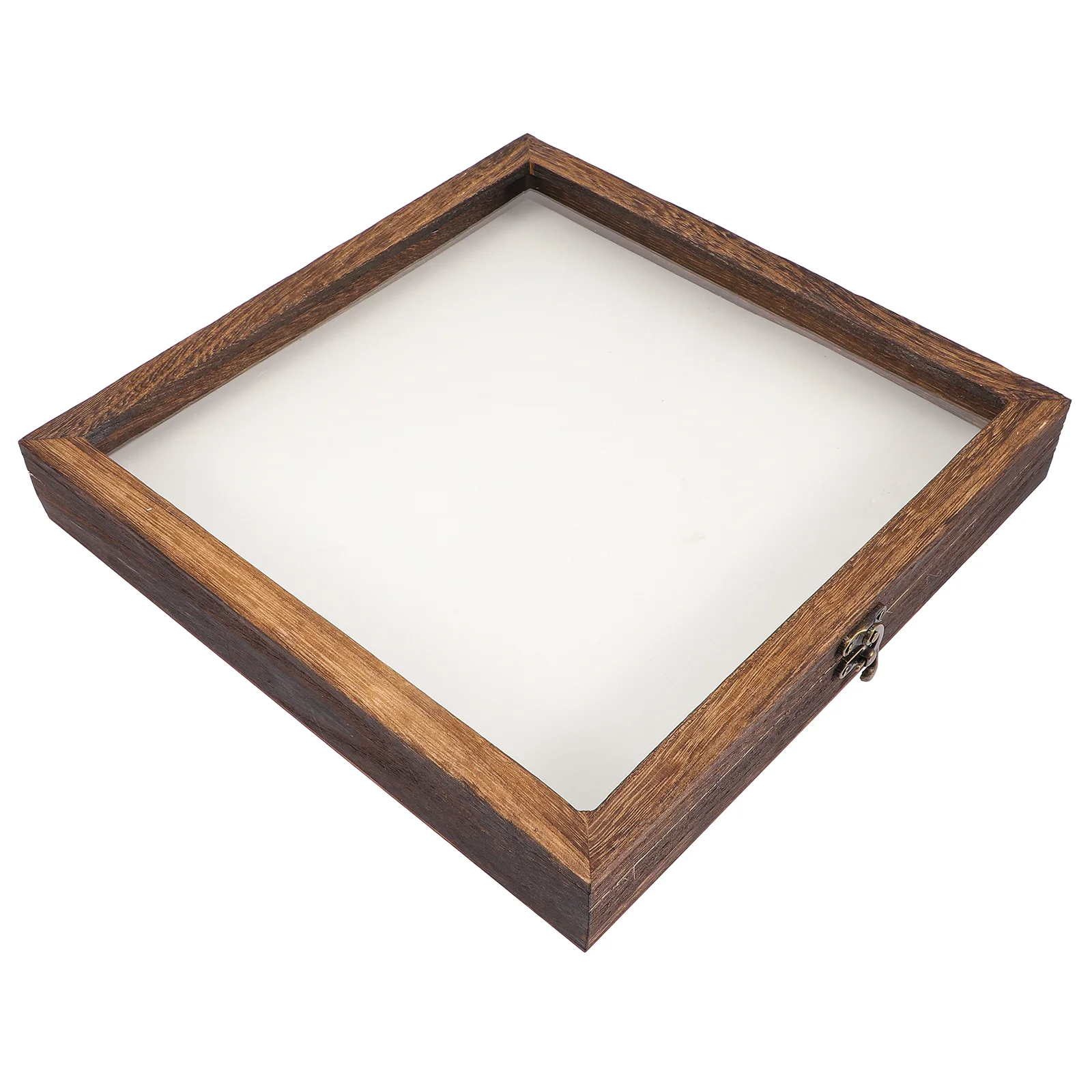 Jewelry Display Box Bugs Box Dried Flowers Glass Flower Shadow Box Iron Collecting Entomology Supplies
Jewelry Display Box Bugs Box Dried Flowers Glass Flower Shadow Box Iron Collecting Entomology Supplies