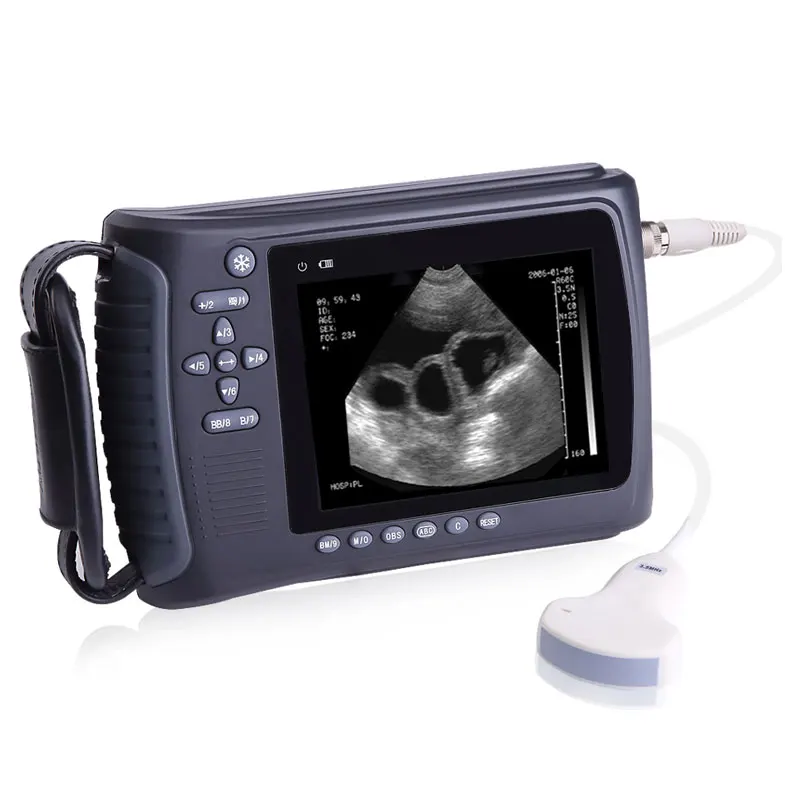 Portable animals ultrasound/ Veterinary Ultrasound Machine/Vet Handheld Ultrasound Scanner mindray ultrasound machine
Portable animals ultrasound/ Veterinary Ultrasound Machine/Vet Handheld Ultrasound Scanner mindray ultrasound machine