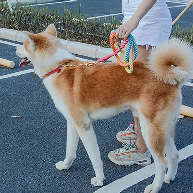 Hands Free Running Leash for Dogs, Tactical Dog Harness, Walk the Dog Rope, Pet Supplies, Luxury, New, 2 Dogs
Hands Free Running Leash for Dogs, Tactical Dog Harness, Walk the Dog Rope, Pet Supplies, Luxury, New, 2 Dogs