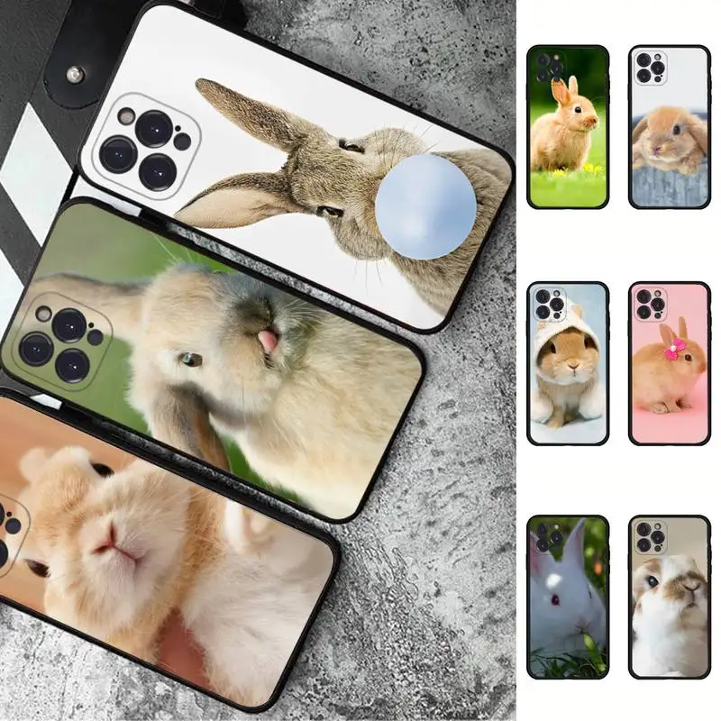 Cute White Baby Rabbits Phone Case For iPhone 6 7 8 Plus 11 12 13 14 Pro SE 2020 MAX Mini X XS XR Back Funda Cover
Cute White Baby Rabbits Phone Case For iPhone 6 7 8 Plus 11 12 13 14 Pro SE 2020 MAX Mini X XS XR Back Funda Cover