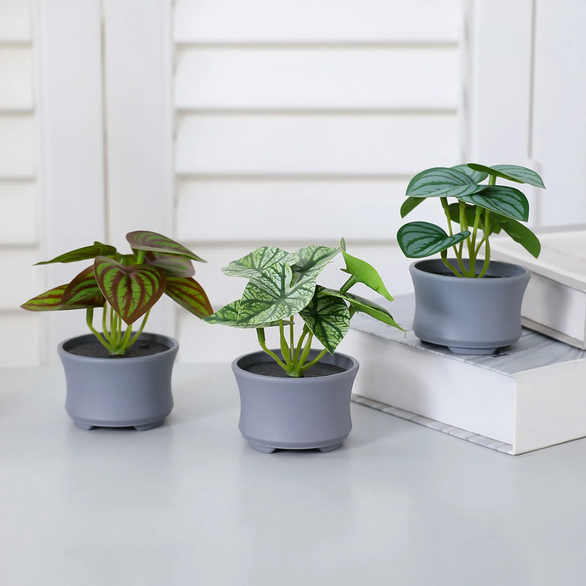 Набор миниатюрных искусственных растений из пластика 3 шт BONSAI
Набор миниатюрных искусственных растений из пластика 3 шт BONSAI