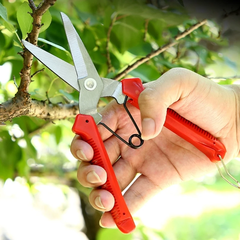 Multifunctional Straight Garden Pruning Shears Whic Cut Diameter Fruit Trees Flowers Branches Scissors Branch Shears M4YD
Multifunctional Straight Garden Pruning Shears Whic Cut Diameter Fruit Trees Flowers Branches Scissors Branch Shears M4YD