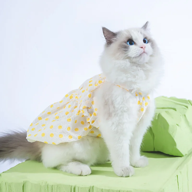 1PCS New Proof Wool Fashion Cute Cat Dress Comfortable Cotton Lace Wave Point Sleeveless Garment Household Pet Supplies JJ554
1PCS New Proof Wool Fashion Cute Cat Dress Comfortable Cotton Lace Wave Point Sleeveless Garment Household Pet Supplies JJ554