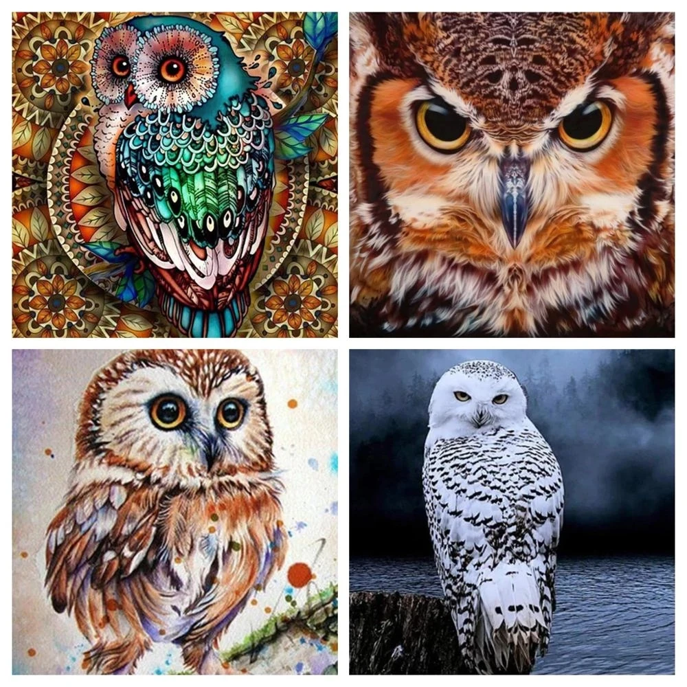 GATYZTORY Diamond Embroidery 5D DIY Diamond Painting Owl Full Square/Round Drill Mosaic Painting Cross Stitch Decoration
GATYZTORY Diamond Embroidery 5D DIY Diamond Painting Owl Full Square/Round Drill Mosaic Painting Cross Stitch Decoration