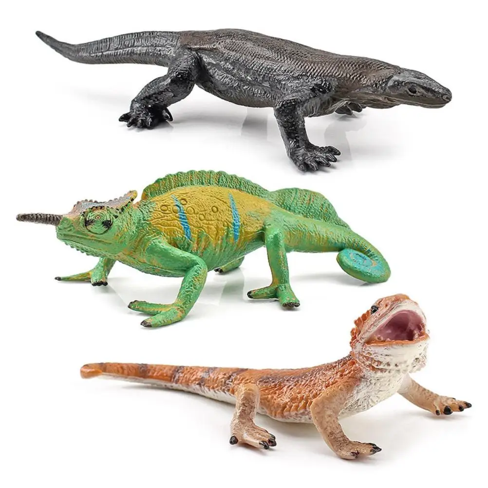 3Pcs Realistic Desert Forest Animal Figures Lizard Model Solid Static Amphibian Figurines Desktop Ornament Decorations
3Pcs Realistic Desert Forest Animal Figures Lizard Model Solid Static Amphibian Figurines Desktop Ornament Decorations