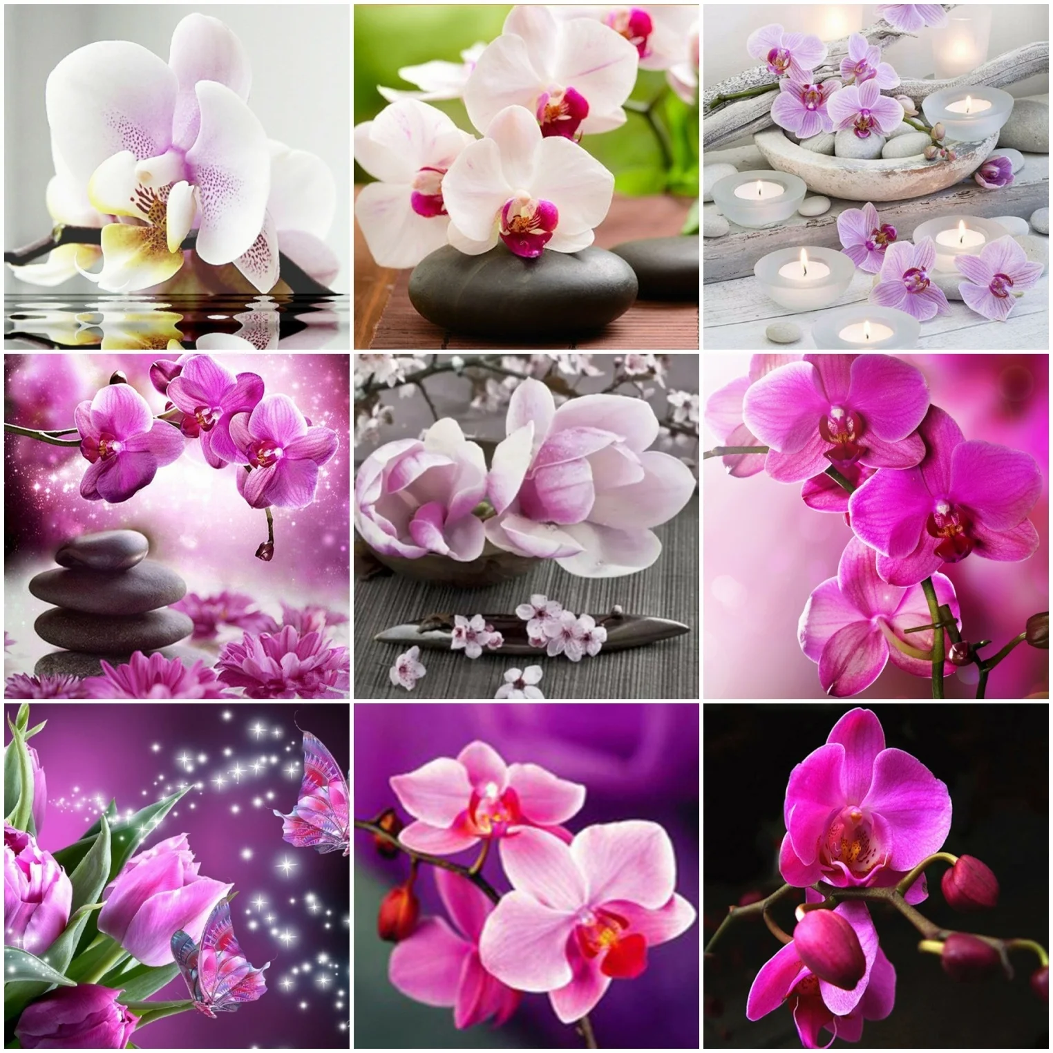 5D Вышивка с изображением животных, орхидеи, камня, цветов, алмазная живопись, Набор для вышивки крестиком, Ручная инкрустация, искусство на с... 
5D Вышивка с изображением животных, орхидеи, камня, цветов, алмазная живопись, Набор для вышивки крестиком, Ручная инкрустация, искусство на с...