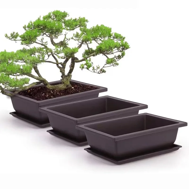 1Pcs Imitation Purple Sand Flower Pot Square Flower Pot Bonsai Planting Rectangular Flower Pot
1Pcs Imitation Purple Sand Flower Pot Square Flower Pot Bonsai Planting Rectangular Flower Pot