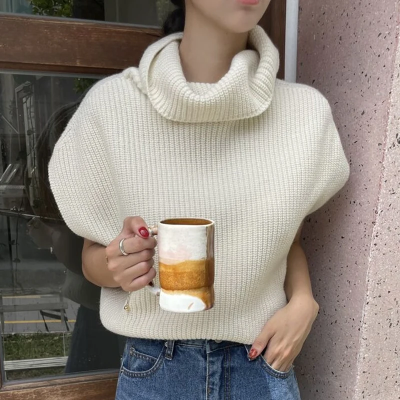Clothland Women Elegant Turtleneck Sweater Sleeveless Vest Pullover Knitwear Waistcoat Stylish Tops Mujer HA435
Clothland Women Elegant Turtleneck Sweater Sleeveless Vest Pullover Knitwear Waistcoat Stylish Tops Mujer HA435
