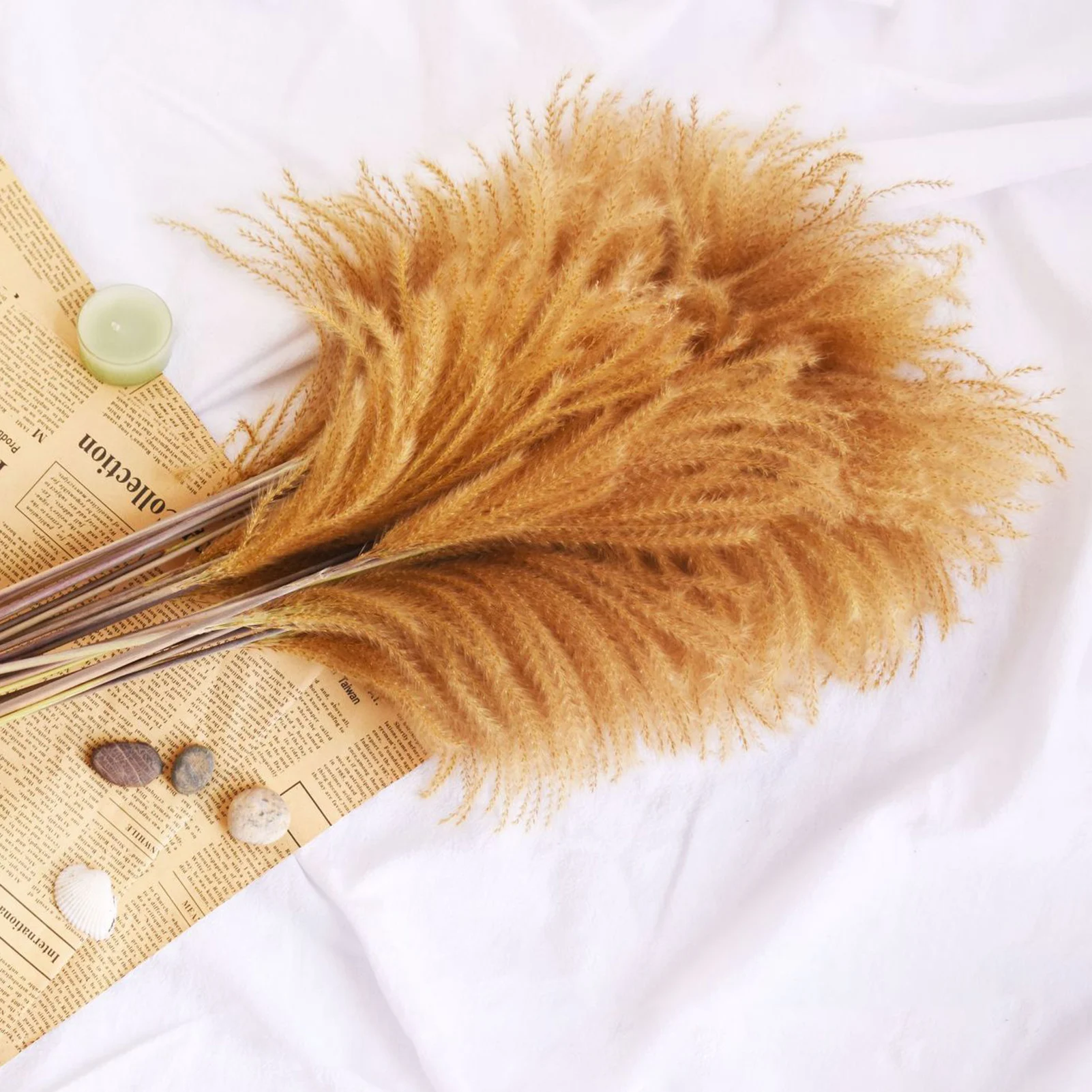 20 шт. пампасная трава Натуральные сушеные цветы букет свадебное Рождественское украшение Сено для вечерние ринки день рождения богемный до...
20 шт. пампасная трава Натуральные сушеные цветы букет свадебное Рождественское украшение Сено для вечерние ринки день рождения богемный до...