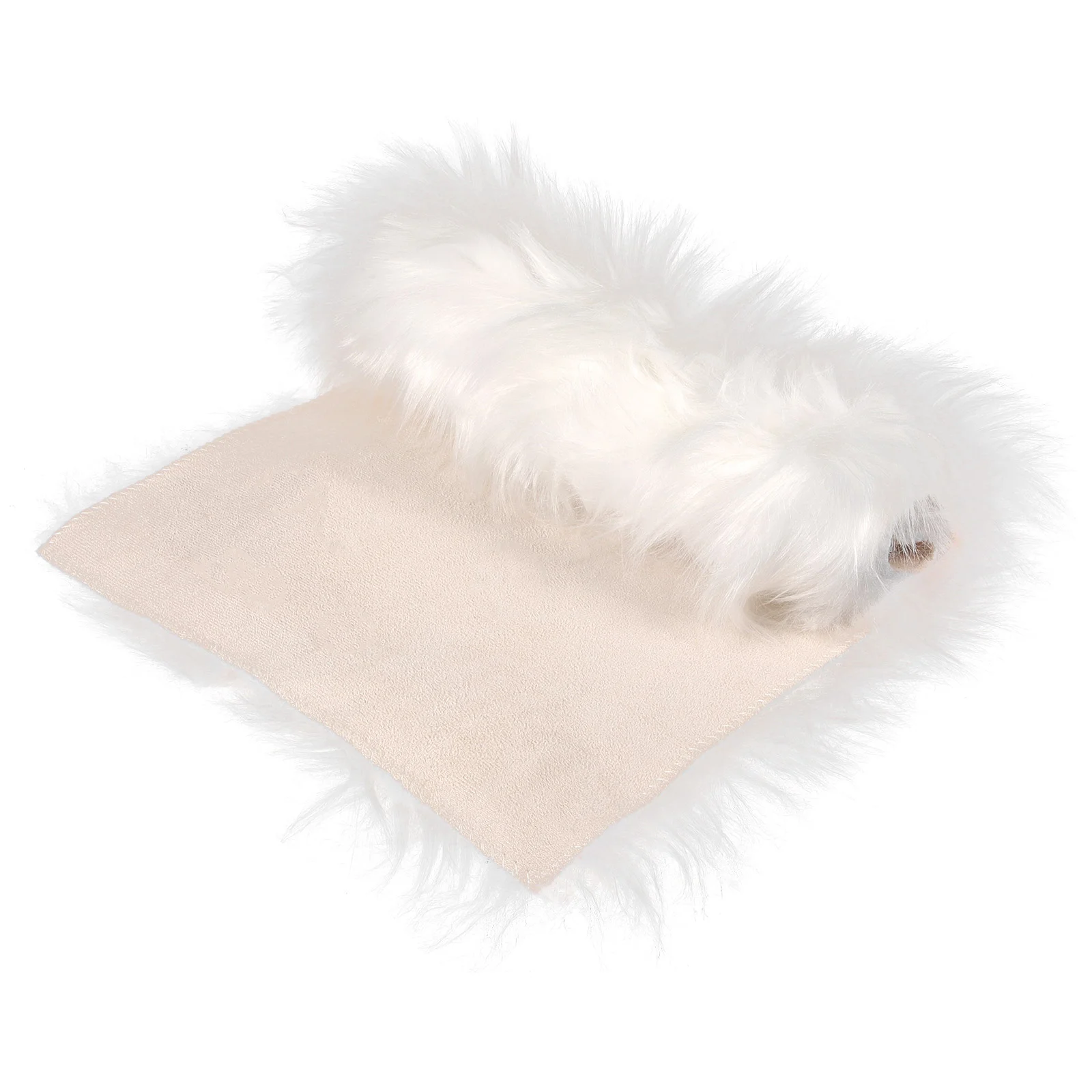 Small Product Photo Backdrop Tools Nail Mat Rug Cushion Plush Photography Background
Small Product Photo Backdrop Tools Nail Mat Rug Cushion Plush Photography Background