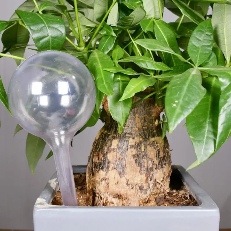 2pcs Automatic Plant Self Watering Water Feeder Plastic Ball Indoor Outdoor Flowers Water Cans Flowerpot Drip Irrigation Device
2pcs Automatic Plant Self Watering Water Feeder Plastic Ball Indoor Outdoor Flowers Water Cans Flowerpot Drip Irrigation Device
