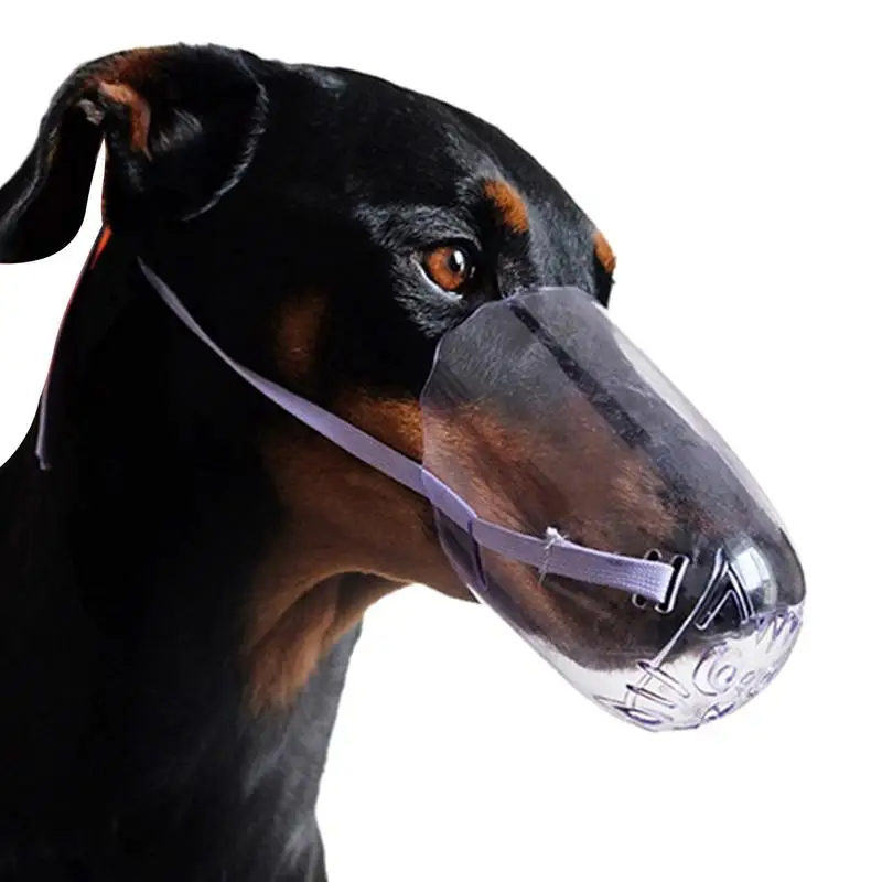 Капюшон для кошек, дышащий котенок для защиты от укусов, для маленьких собак, подарок для любителей кошек
Капюшон для кошек, дышащий котенок для защиты от укусов, для маленьких собак, подарок для любителей кошек