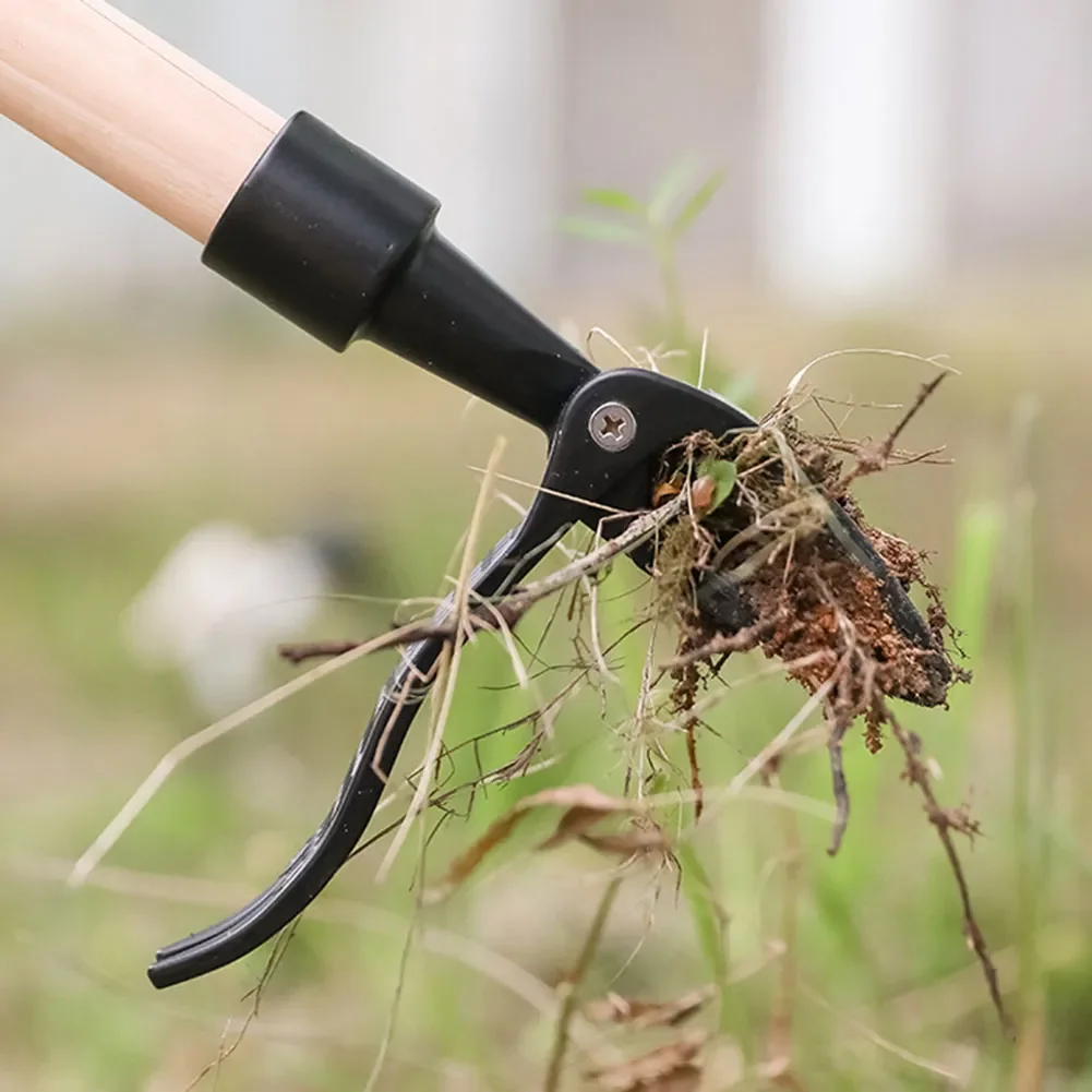 Head Replacement Metal Iron Art Weeder Head Gardening Digging Weeder Remover Accessories Outdoor Garden Weed Puller
Head Replacement Metal Iron Art Weeder Head Gardening Digging Weeder Remover Accessories Outdoor Garden Weed Puller