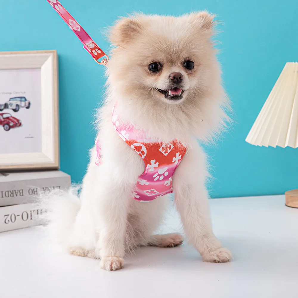Rainbow Dog Collar Puppy Harness Chest Dogs Accessories For Small Dogs Articles Pet Supplies
Rainbow Dog Collar Puppy Harness Chest Dogs Accessories For Small Dogs Articles Pet Supplies