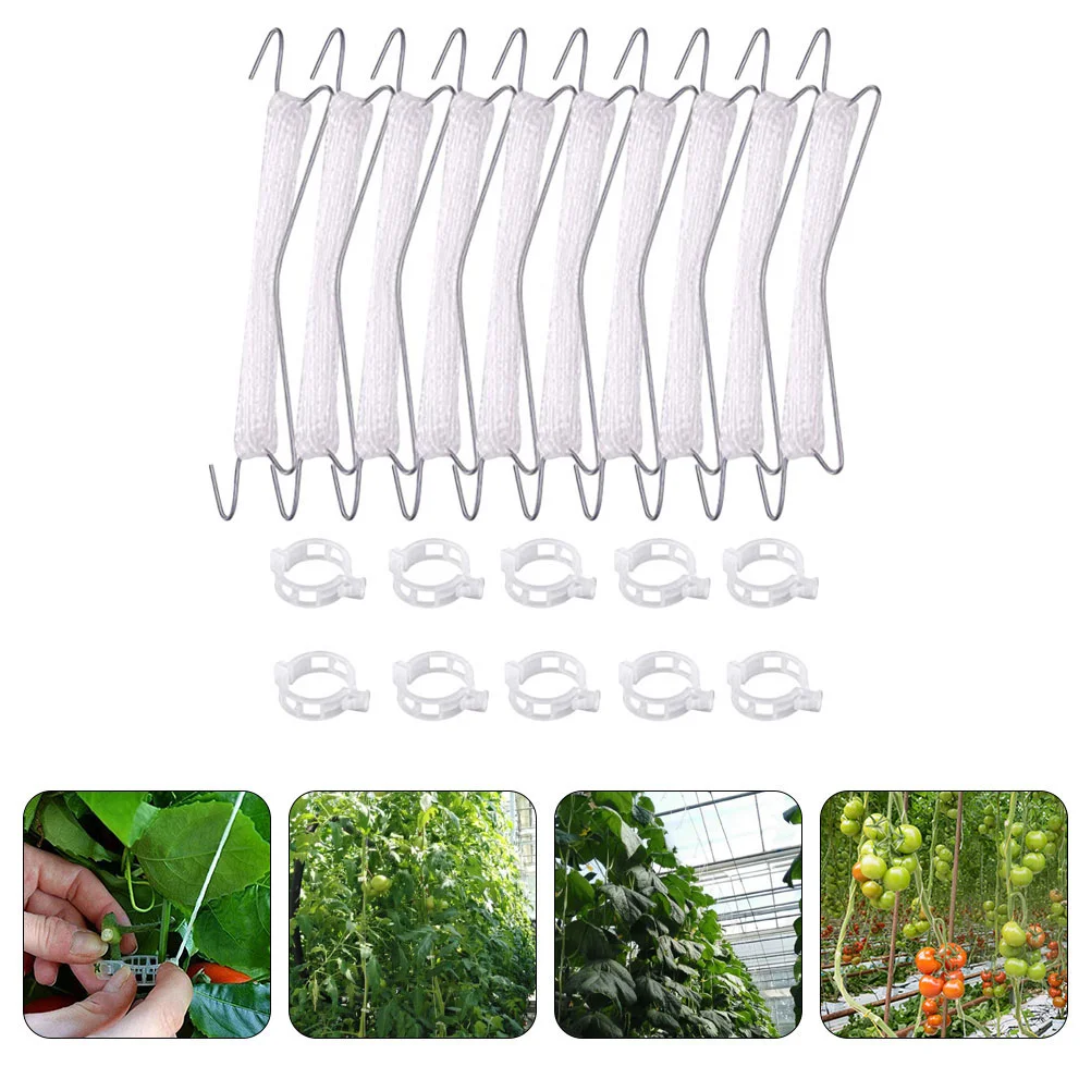 Grape Vines Clips Hook Fixing Garden Support Greenhouse Tools Vegetable Supply
Grape Vines Clips Hook Fixing Garden Support Greenhouse Tools Vegetable Supply