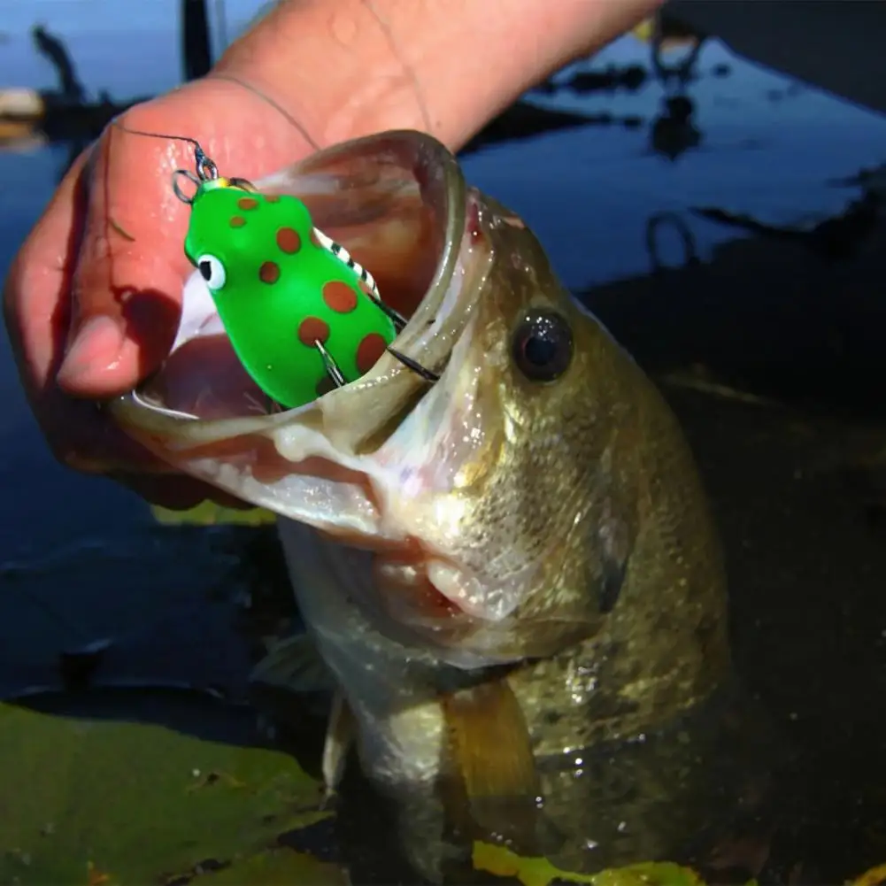 Fishing Bait Spinner Sequin Simulated Increase Fishes Rate Fake Snakehead Frog Soft PVC Bait Artificial Lure Fishing Gear
Fishing Bait Spinner Sequin Simulated Increase Fishes Rate Fake Snakehead Frog Soft PVC Bait Artificial Lure Fishing Gear