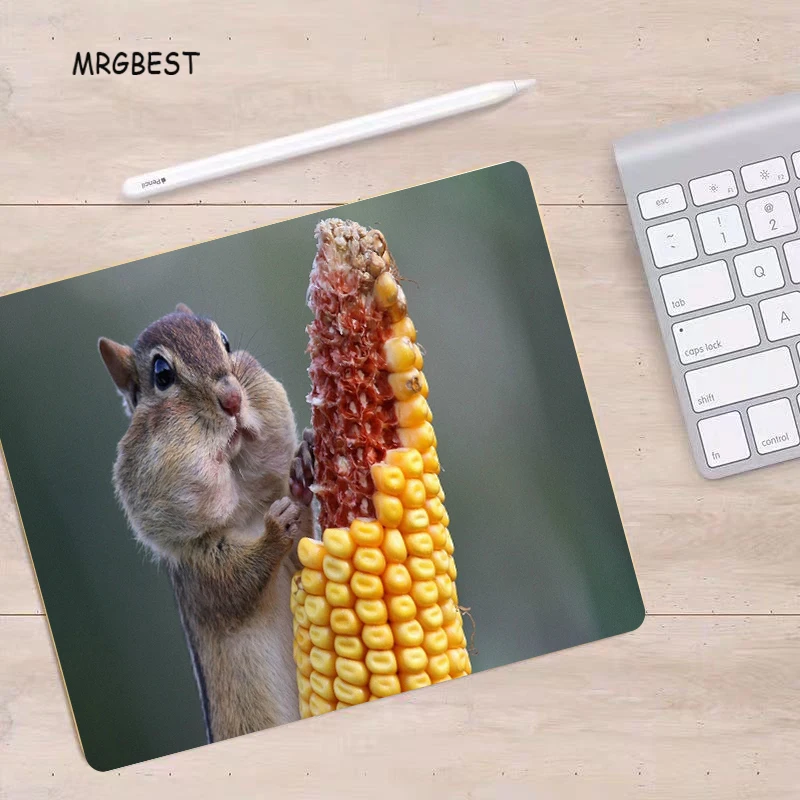 MRGBEST mini Size 22x18cm Mousepad Hamster Printed with nature Anti-slip Rubber Play Mat Big promotion for Macbook Pro Mice Pads
MRGBEST mini Size 22x18cm Mousepad Hamster Printed with nature Anti-slip Rubber Play Mat Big promotion for Macbook Pro Mice Pads
