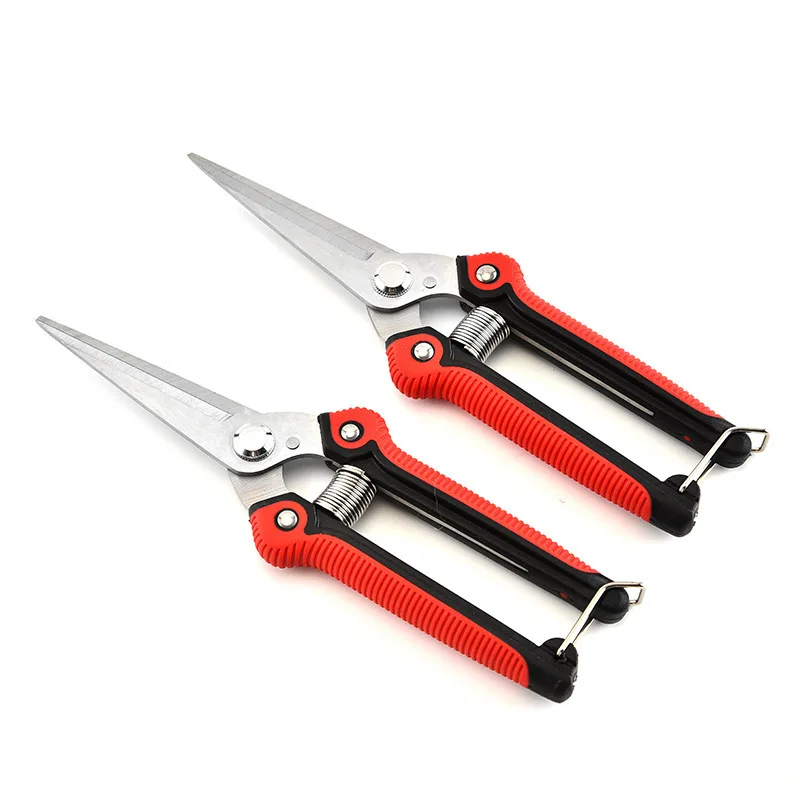 Professional stainless steel orchard fruit picking pruning shears grape thin fruit scissors pruning fruit branch branch scissors
Professional stainless steel orchard fruit picking pruning shears grape thin fruit scissors pruning fruit branch branch scissors
