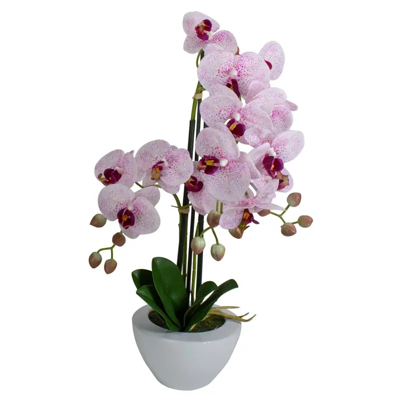 and White Artificial Orchid Plant in a White Pot
and White Artificial Orchid Plant in a White Pot