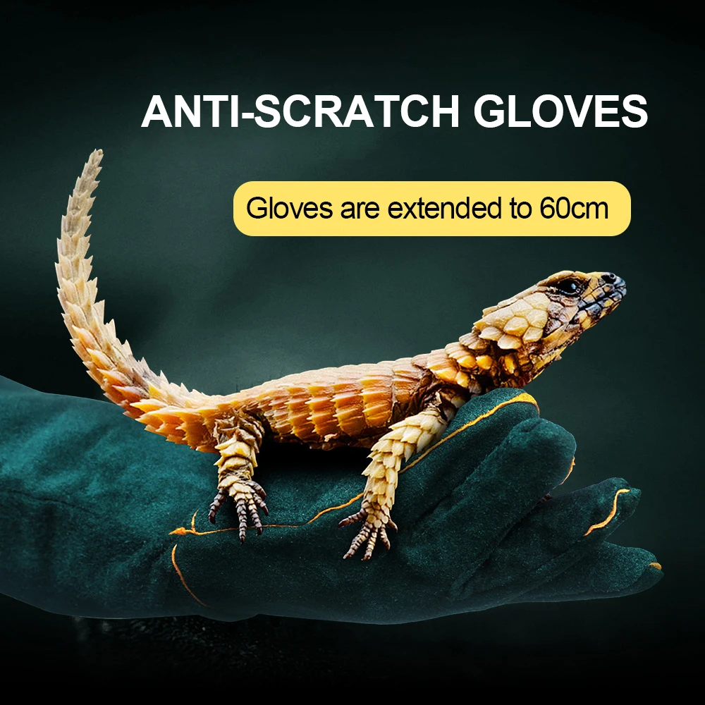 Catch Dogs and Cats Reptile Safety Gloves Ultra-long Leather Green Gardening Anti-snake Anti-bite Anti-scratch Thickened Gloves
Catch Dogs and Cats Reptile Safety Gloves Ultra-long Leather Green Gardening Anti-snake Anti-bite Anti-scratch Thickened Gloves