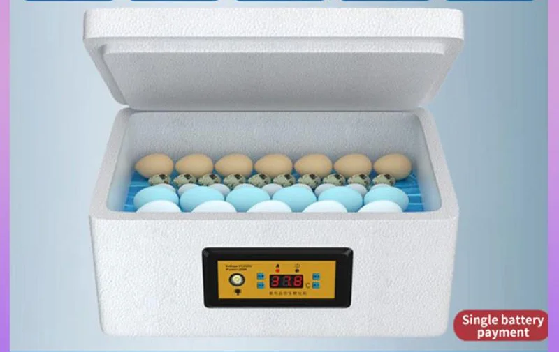 Equipped With Egg Lighting Function Intelligent Chicken Incubator Safety Materials Having Insulation High Incubation Rate Saving
Equipped With Egg Lighting Function Intelligent Chicken Incubator Safety Materials Having Insulation High Incubation Rate Saving