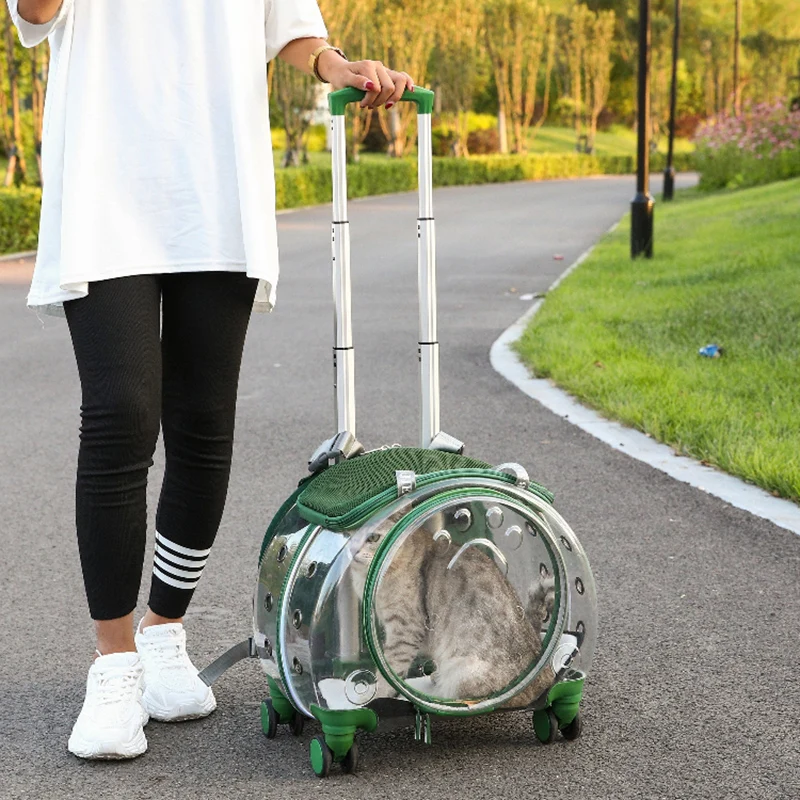 Transportin Cat Carriers Transporters Outdoor Hamsters Cat Carriers Stroller Travel Bolso Para Mascotas Pets Accessories
Transportin Cat Carriers Transporters Outdoor Hamsters Cat Carriers Stroller Travel Bolso Para Mascotas Pets Accessories