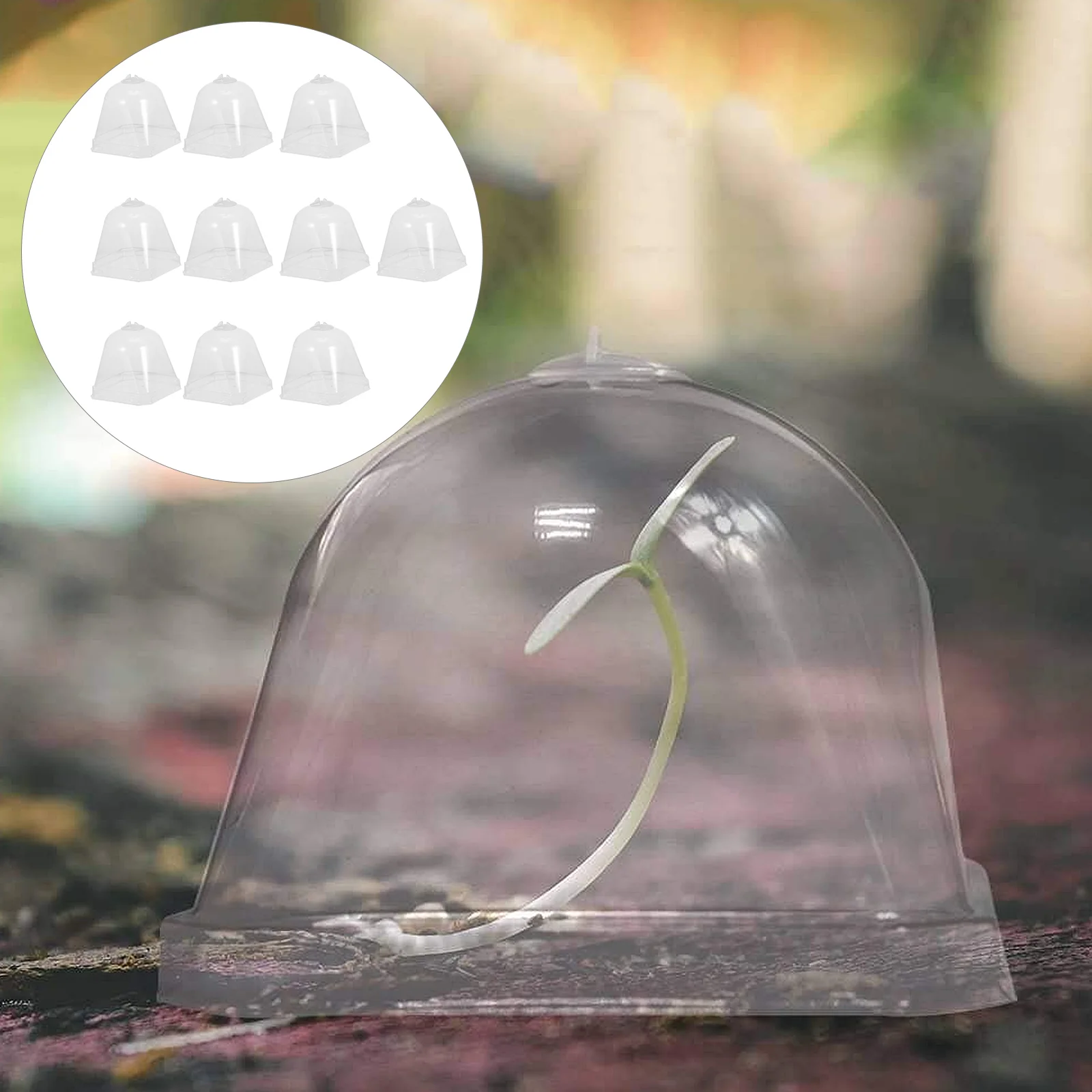 

Dome Cloche Cover Bell Garden Humidity Protector Covers Greenhouse Protection Freeze Vegetable Starting Mini Cloches Domes