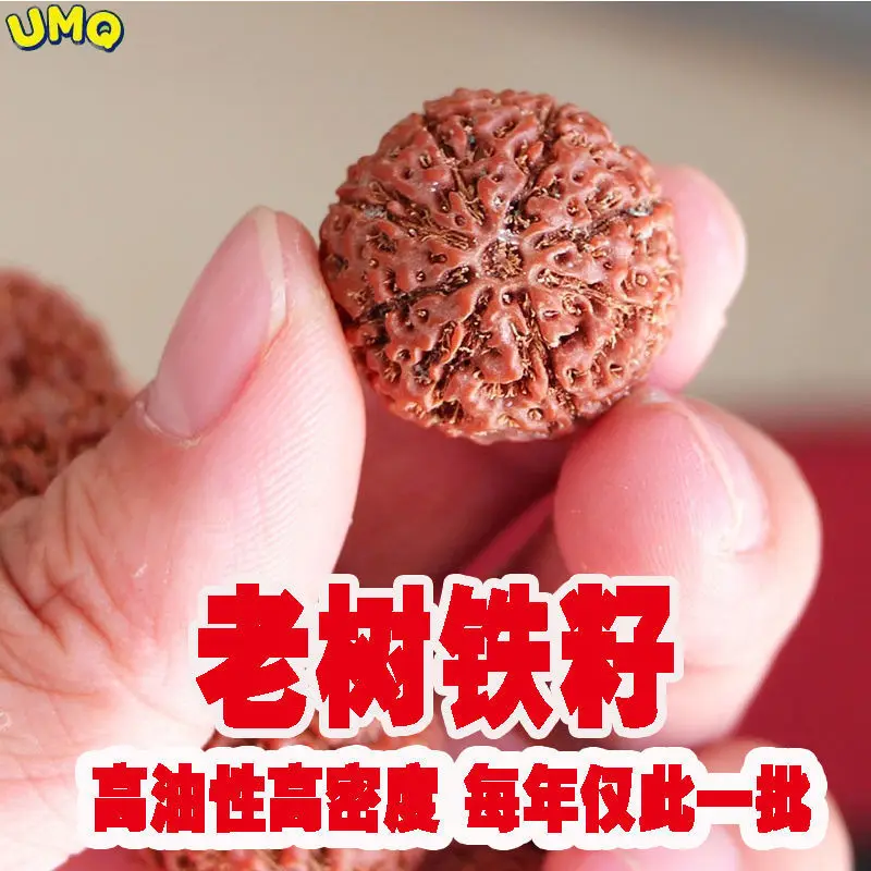 Six Petal Seven Eight Vajra Bodhi Rudraksha Beadshand String for Men's Big Beadsbuddha Beads Bracelet Wenju Rosary Seed
Six Petal Seven Eight Vajra Bodhi Rudraksha Beadshand String for Men's Big Beadsbuddha Beads Bracelet Wenju Rosary Seed