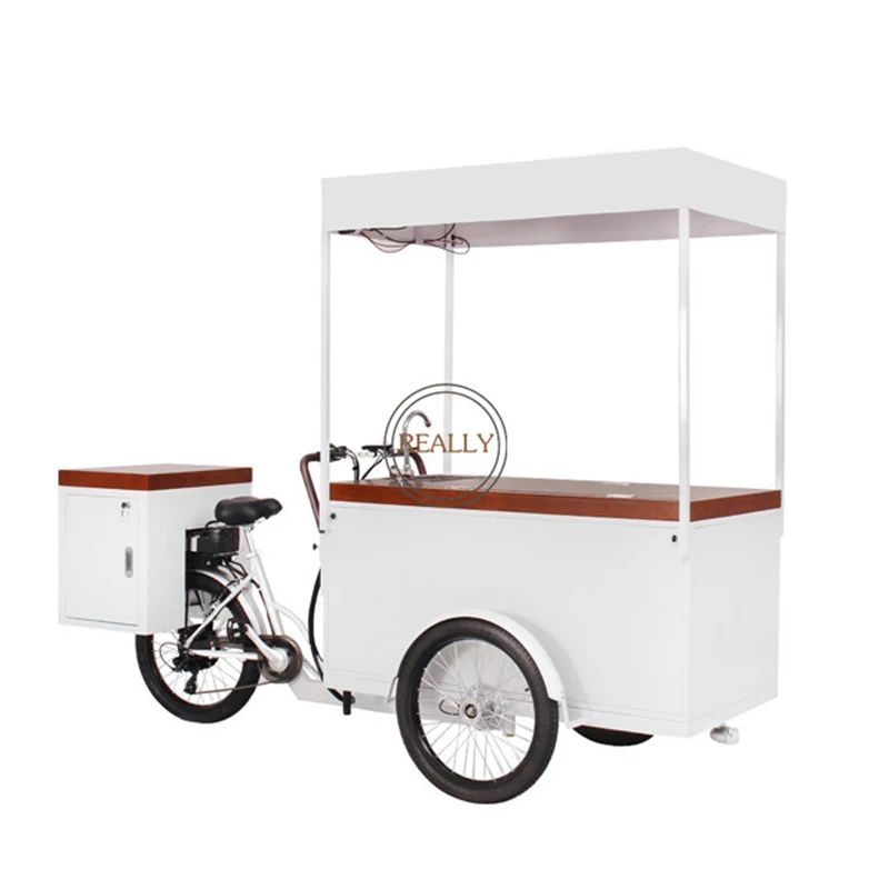 Adult Ice Cream Food Cart Electric Cargo Bike Street Freezer Tricycle with Solar Panel
Adult Ice Cream Food Cart Electric Cargo Bike Street Freezer Tricycle with Solar Panel