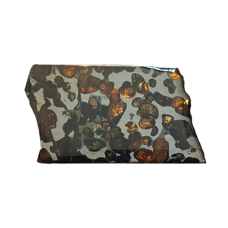 Kenya Sericho Olive Meteorite Slice Natural Meteorite Material Sample High Quality Olive Meteorite Sample
Kenya Sericho Olive Meteorite Slice Natural Meteorite Material Sample High Quality Olive Meteorite Sample