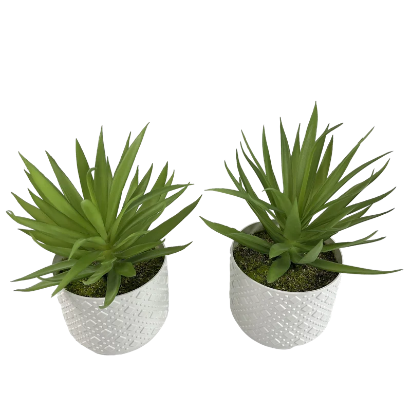 Artificial Plants Bonsai Small Tree Pot Fake Plant Flowers Potted Ornaments For Home Room Table Decoration Hotel Garden Decor 
Artificial Plants Bonsai Small Tree Pot Fake Plant Flowers Potted Ornaments For Home Room Table Decoration Hotel Garden Decor