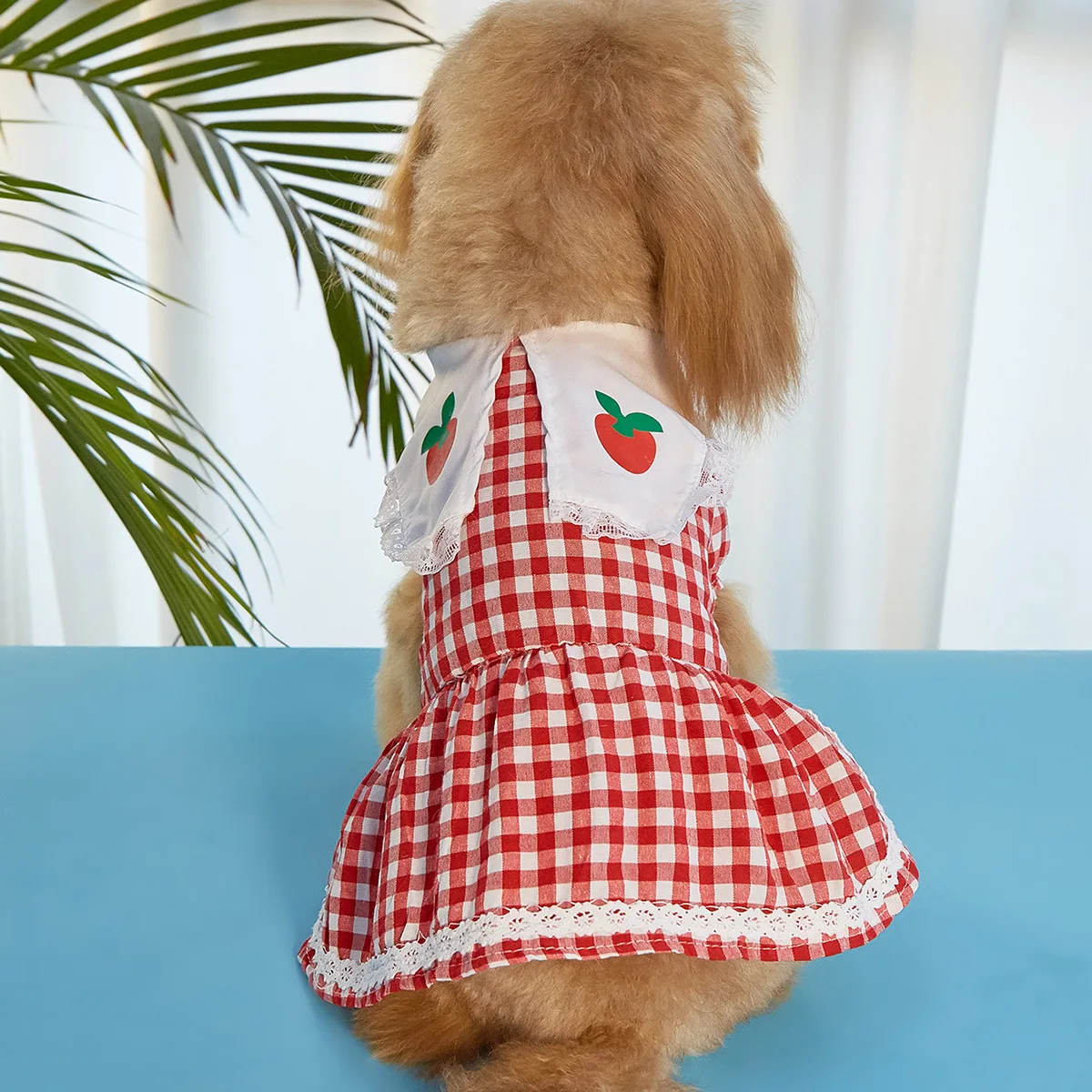 Pet Skirt New Cat Skirt Lace Plaid Teddy Corky Dog Skirt Factory Puppy Clothes Pet Shirt Pet Clothes
Pet Skirt New Cat Skirt Lace Plaid Teddy Corky Dog Skirt Factory Puppy Clothes Pet Shirt Pet Clothes
