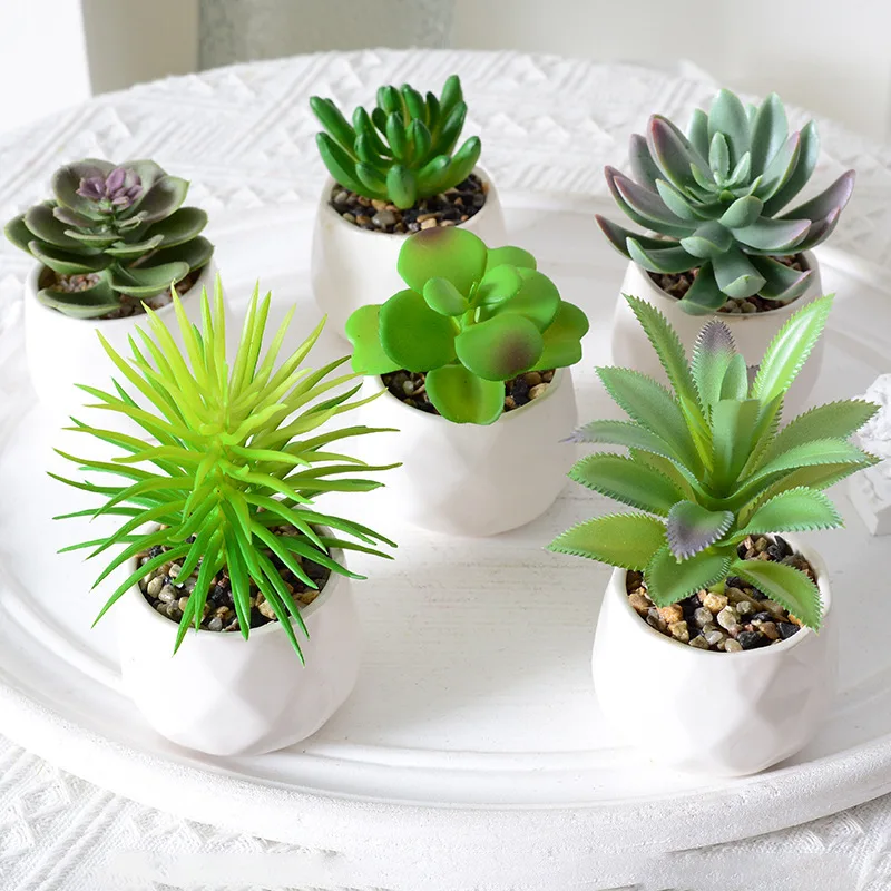 Simulated Succulent Plant Wholesale Green Plant Decoration Cactus Indoor Office Small Decoration Combination Potted Landscape
Simulated Succulent Plant Wholesale Green Plant Decoration Cactus Indoor Office Small Decoration Combination Potted Landscape