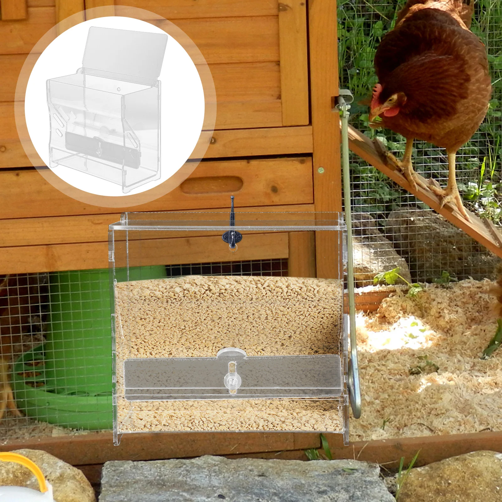 Rutin Chicken Automatic Food Feeder Acrylic Parrot Bird Feeder Clear Food Holder Feeding Trough
Rutin Chicken Automatic Food Feeder Acrylic Parrot Bird Feeder Clear Food Holder Feeding Trough