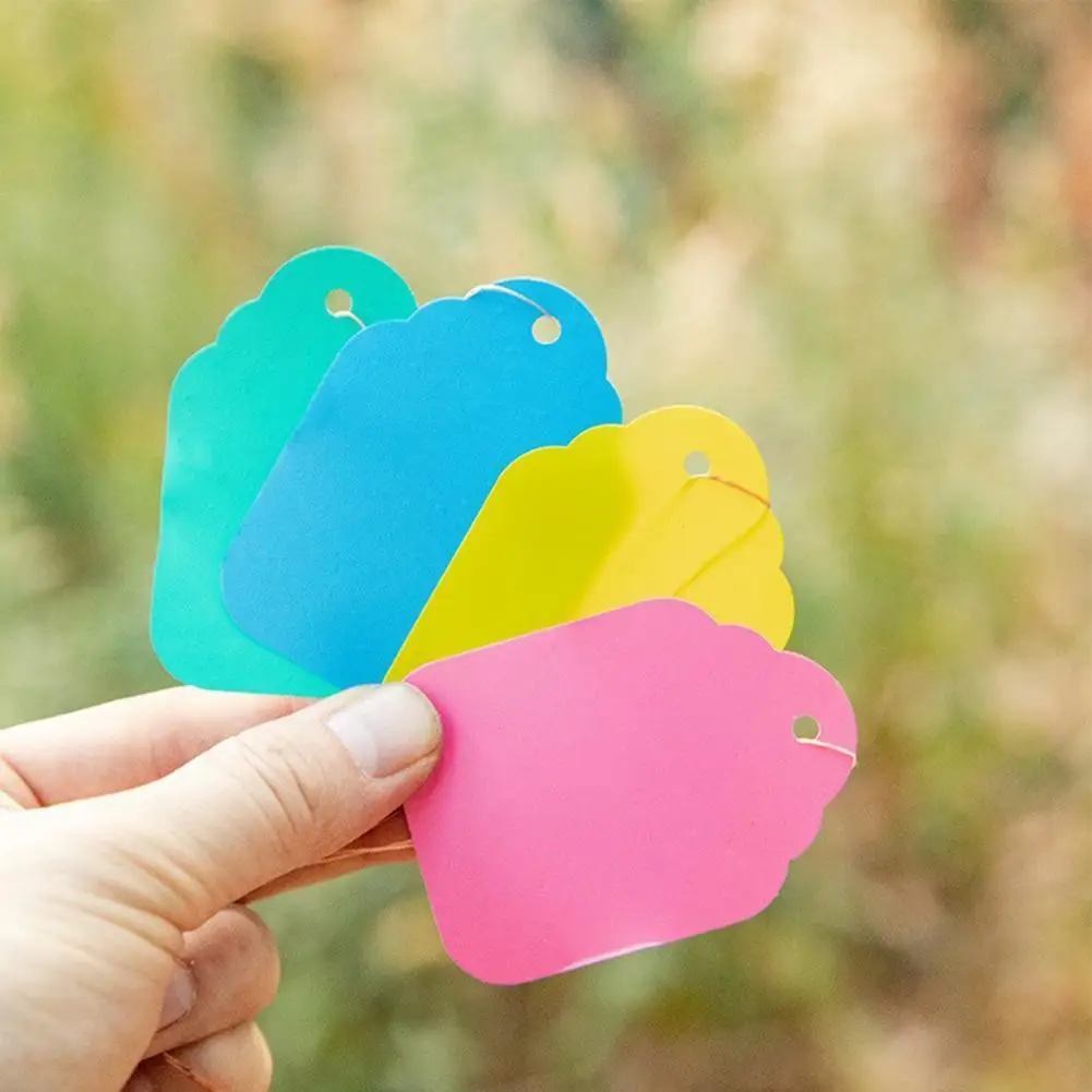 100Pcs/Bag Practical Plant Tags Plastic Garden Markers Plant Markers Easy to Use Colorful
100Pcs/Bag Practical Plant Tags Plastic Garden Markers Plant Markers Easy to Use Colorful