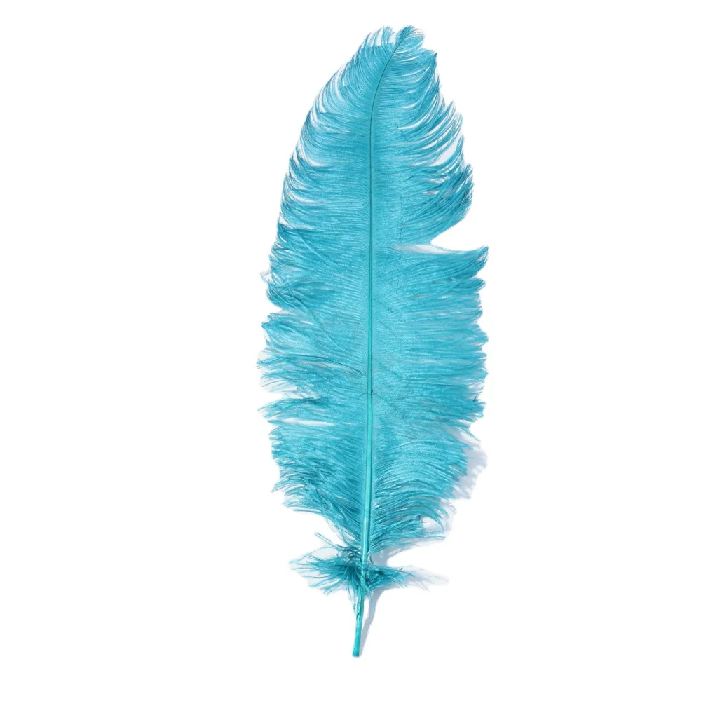 Natural Beautiful 45-50CM/18-20 Inch Ostrich Feather Dyed 10PCS DIY Christmas Party Supplies Crafts Headwear Accessories
Natural Beautiful 45-50CM/18-20 Inch Ostrich Feather Dyed 10PCS DIY Christmas Party Supplies Crafts Headwear Accessories